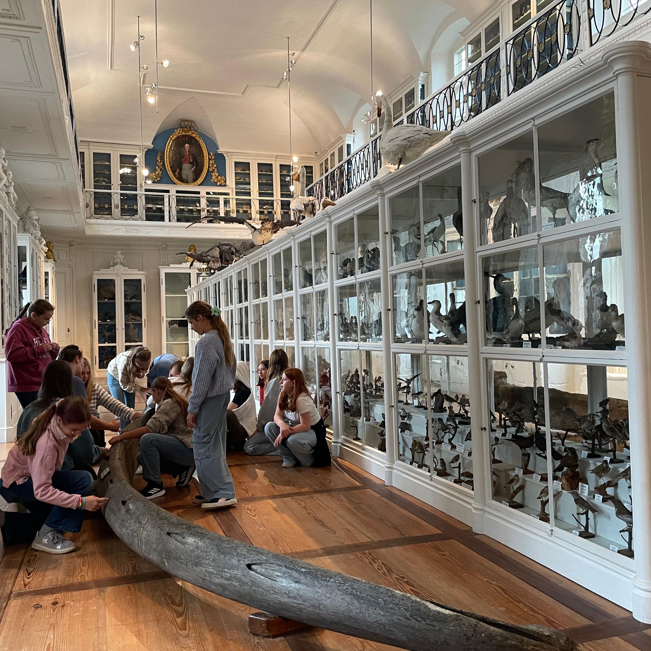 Die Klasse 6cR mit ihren Klassleitungen im Naturkundemuseum Bamberg (Fotos. H. Hauck)